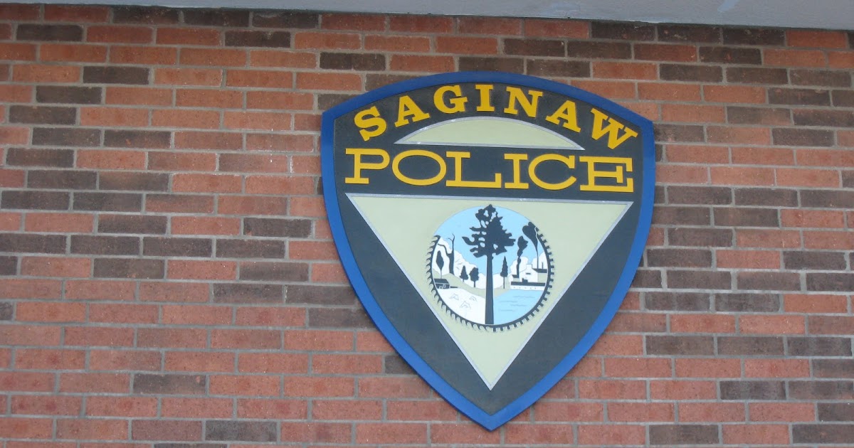 OIDV Project Of Michigan Officer Involved Domestic Violence Project