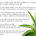 Aloe Vera Health Benefits | The Health Benefits of Aloe Vera
