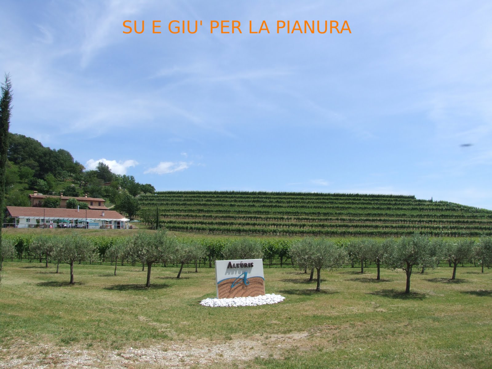 Su E Giu Per La Pianura Padana Cantine Aperte