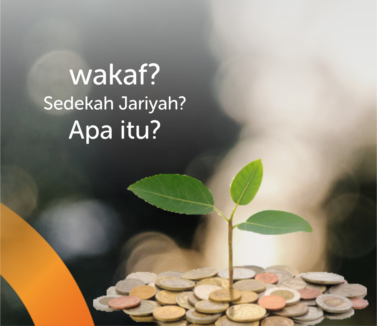 Bwi Trenggalek Apa Itu Wakaf