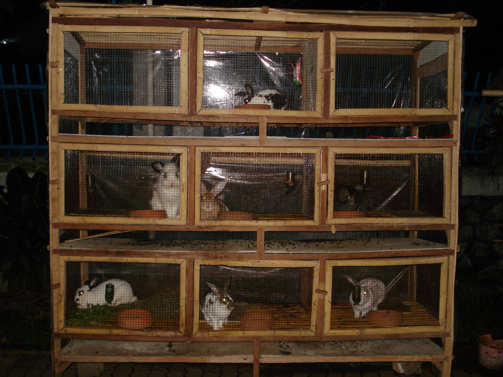 Kandang Kelinci Bagi Penghobi dan Peternak Skala Kecil