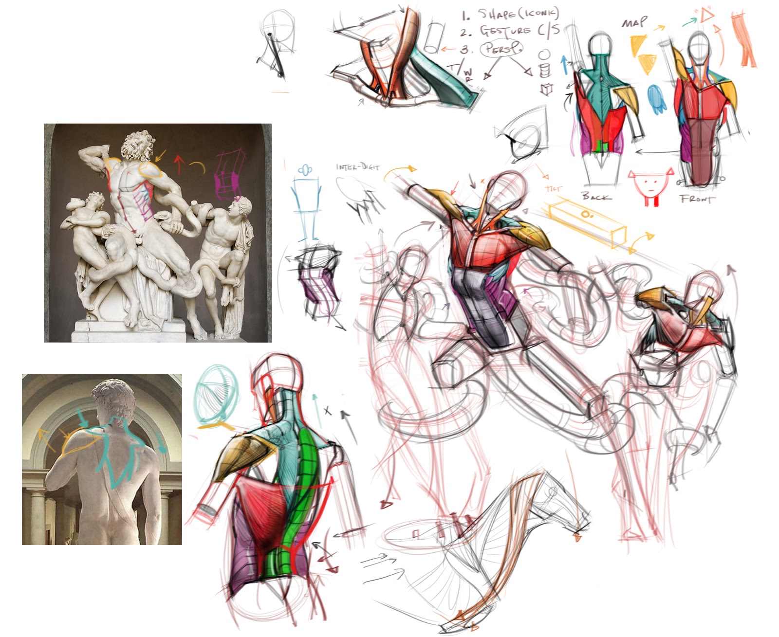 figure drawing construction