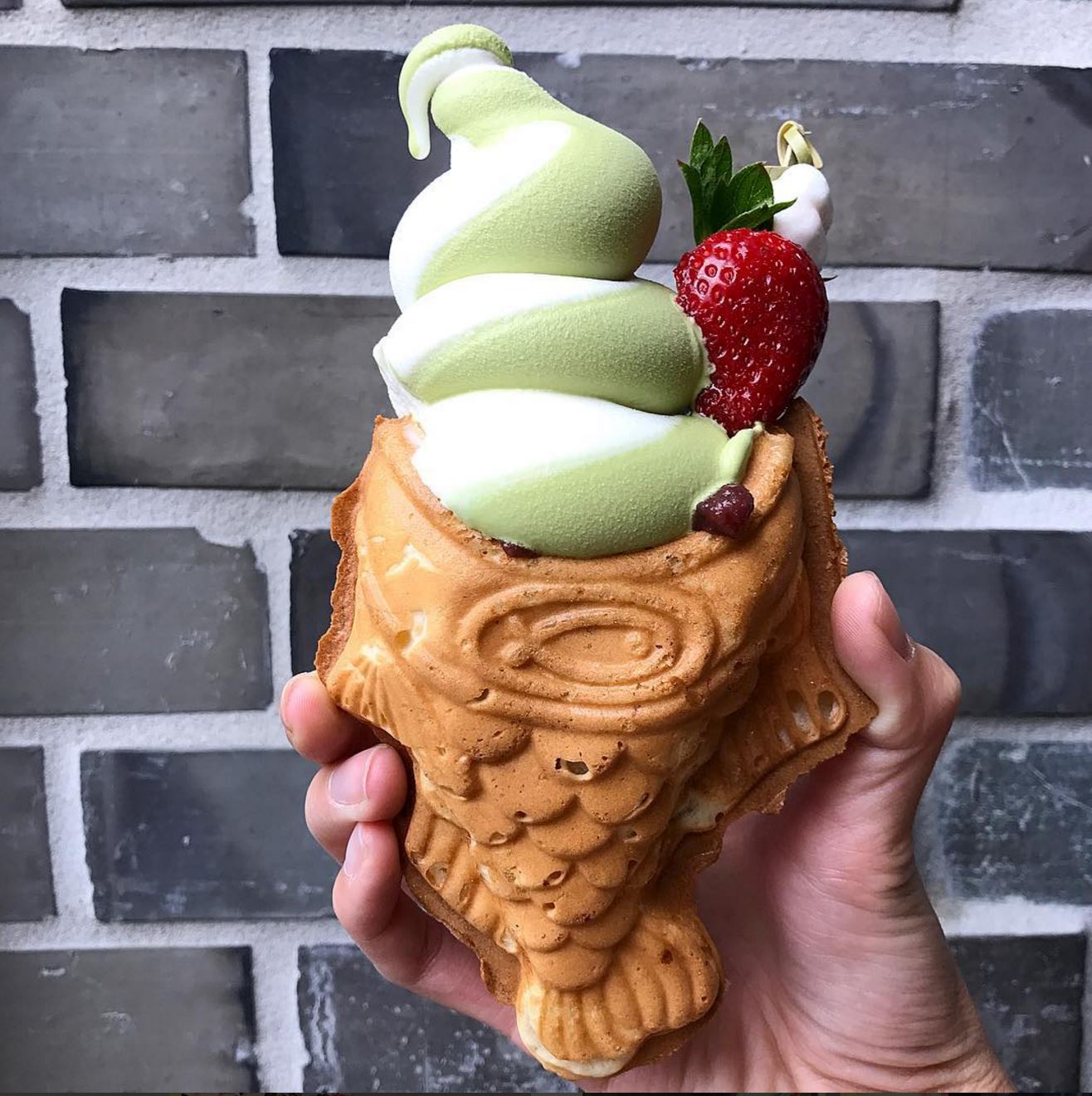 You Can Now Find That Insta-Worthy Fish Ice Cream ...