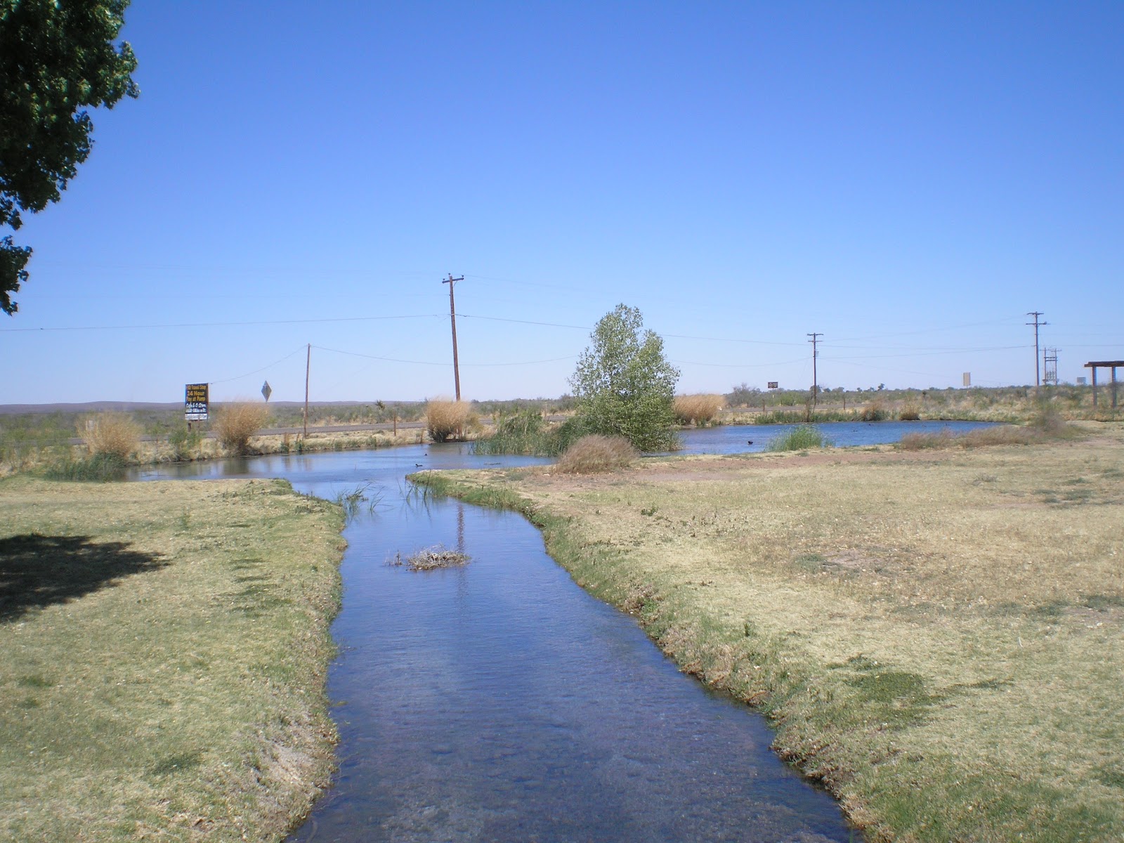The Road Genealogist Balmorhea State Park, Texas
