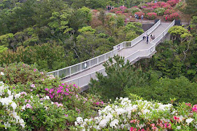 Azalea Bridge During Flower Matsuri