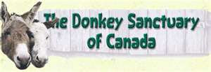 MY SPONSORED DONKEYS from