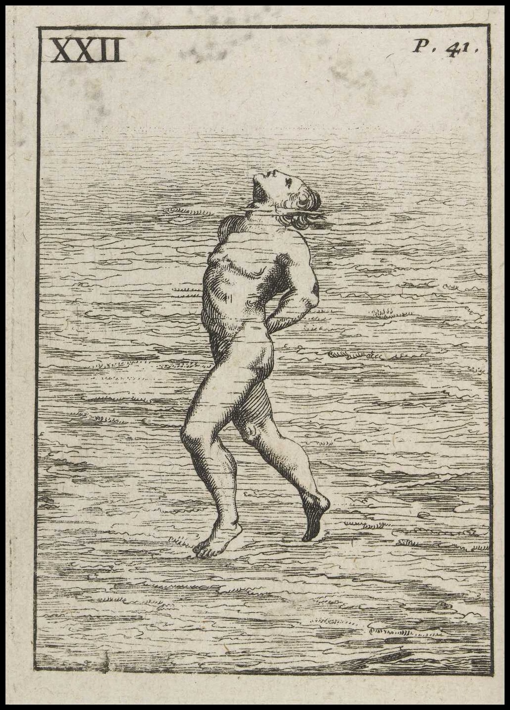 engraved swimmer illustration