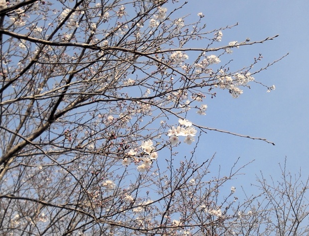 行動検査では何を話せばいいのでしょうか？