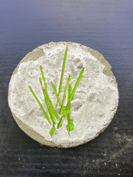 Crafting Reality with Sara: Grass Imprinted Concrete Garden Art