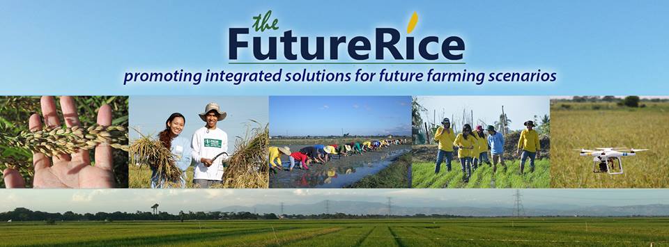 FutureRice: promoting integrated solutions for future farming scenarios