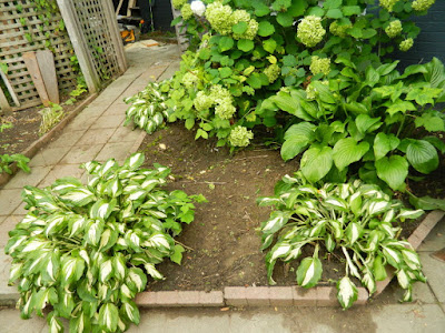 Leslieville Toronto Front Garden Cleanup After by Paul Jung Gardening Services--a Toronto Gardening Company Leslieville Toronto Front Garden Cleanup After by Paul Jung Gardening Services--a Toronto Gardening Company