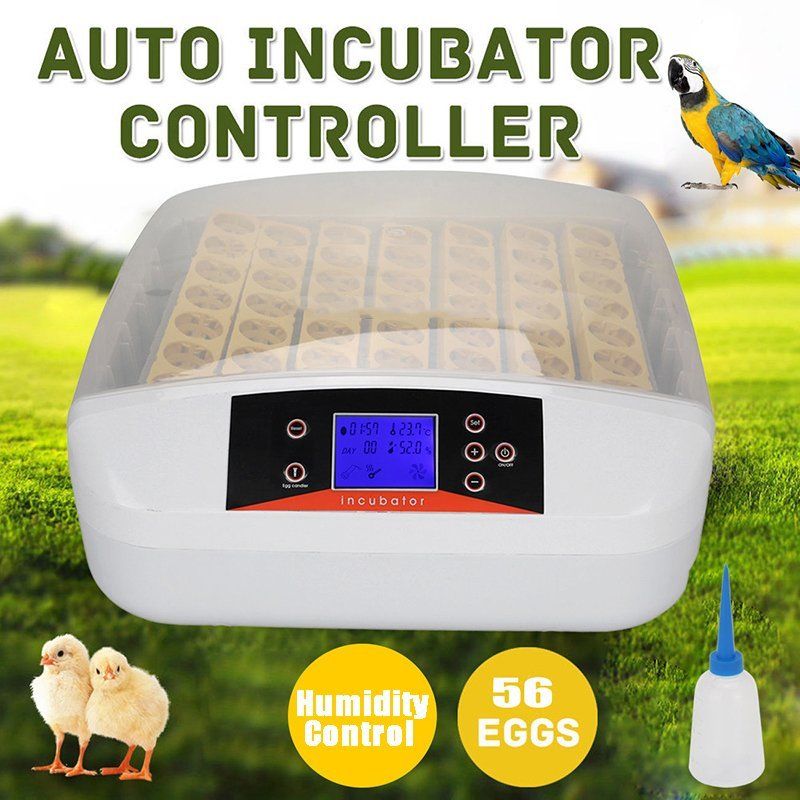 Cheap Chinese Incubator fixing faulty Temperature showing