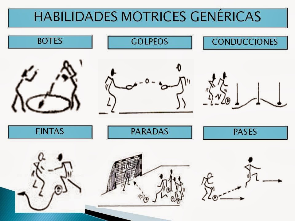 Área de Educación Física y Deporte