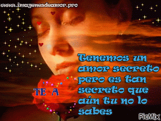 Ver las imágenes de origen