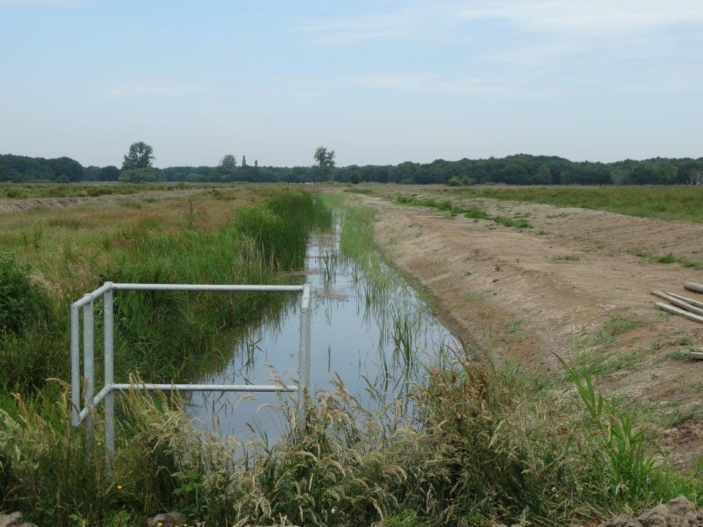 Norfolk Wildlife Trust Progress at Potter reedbed creation site