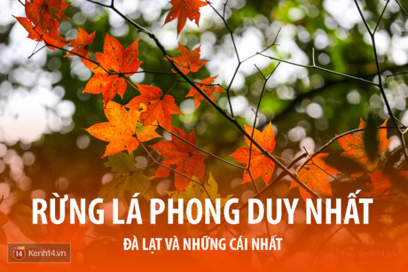Da Lat - noi ma ban chang the ngo co vo van nhung cai 'nhat' - Anh 4