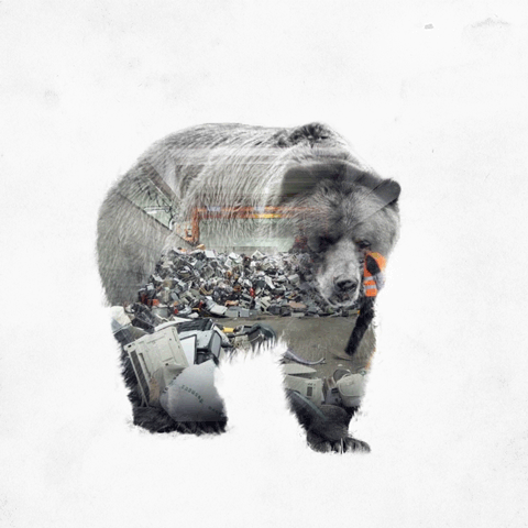 03-Grizzly-Bear-Said-Dagdeviren-Double-Exposure-Animal-Cinemagraph-Animations-www-designstack-co