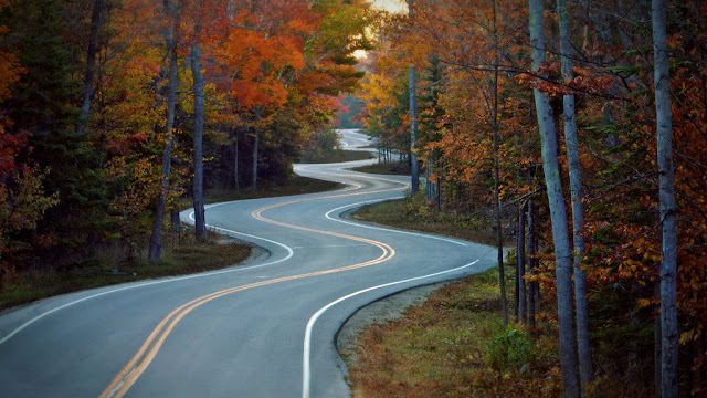 Scattered Seed Samplers: 2018