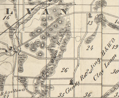 Damn Arbor: 1843 Map of Washtenaw County