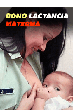 Activado VeQR Bono de la Lactancia Materna Activado VeQR Bono de la Lactancia Materna