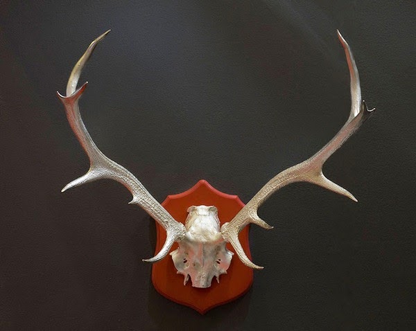 Do you dare to put the horns?