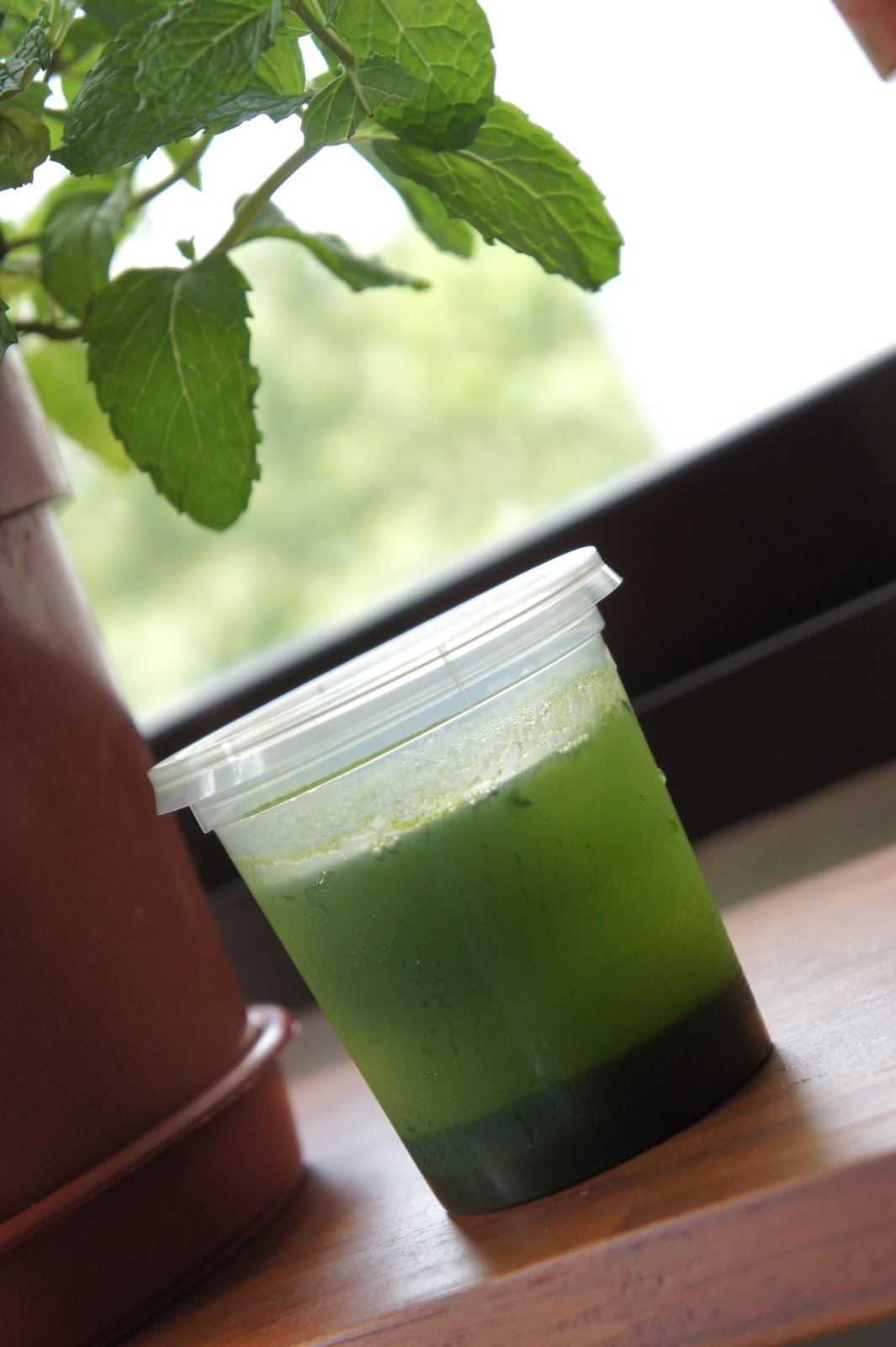 Say My Kitchen DIY Concentrated Pandan Juice 自制香兰精