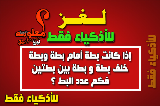 حل لغز بطه امام بطه و بطه خلف بطه وبطه بين بطتين فكم عدد البط العالم كله لك Whole World For You