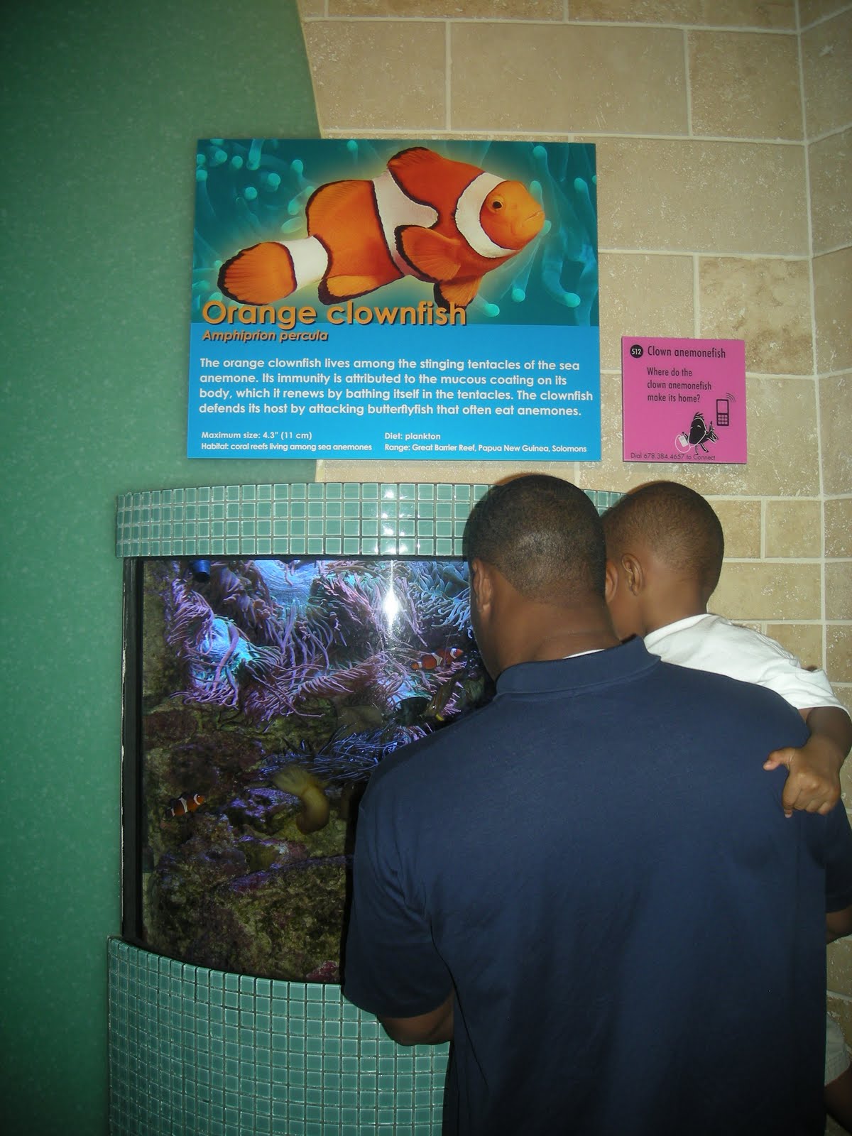 Sojourner Marable Grimmett Mother's Day Brunch at Aquarium