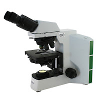 Fein Optic RB40 phase contrast microscope with green interference filter.