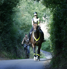 Horse and Cycle Safety