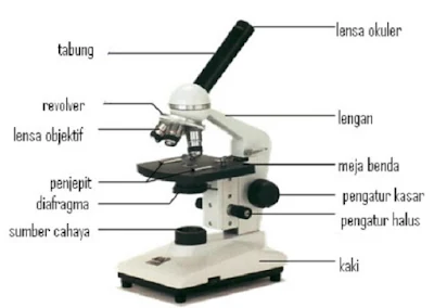 Mikroskop alat optik - berbagaireviews.com