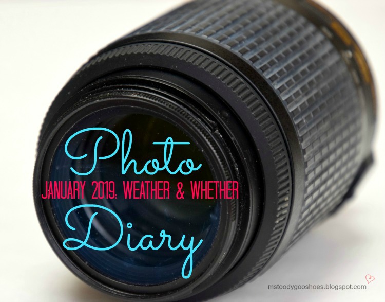 January 2019 Photo Diary 2019 | Ms. Toody Goo Shoes