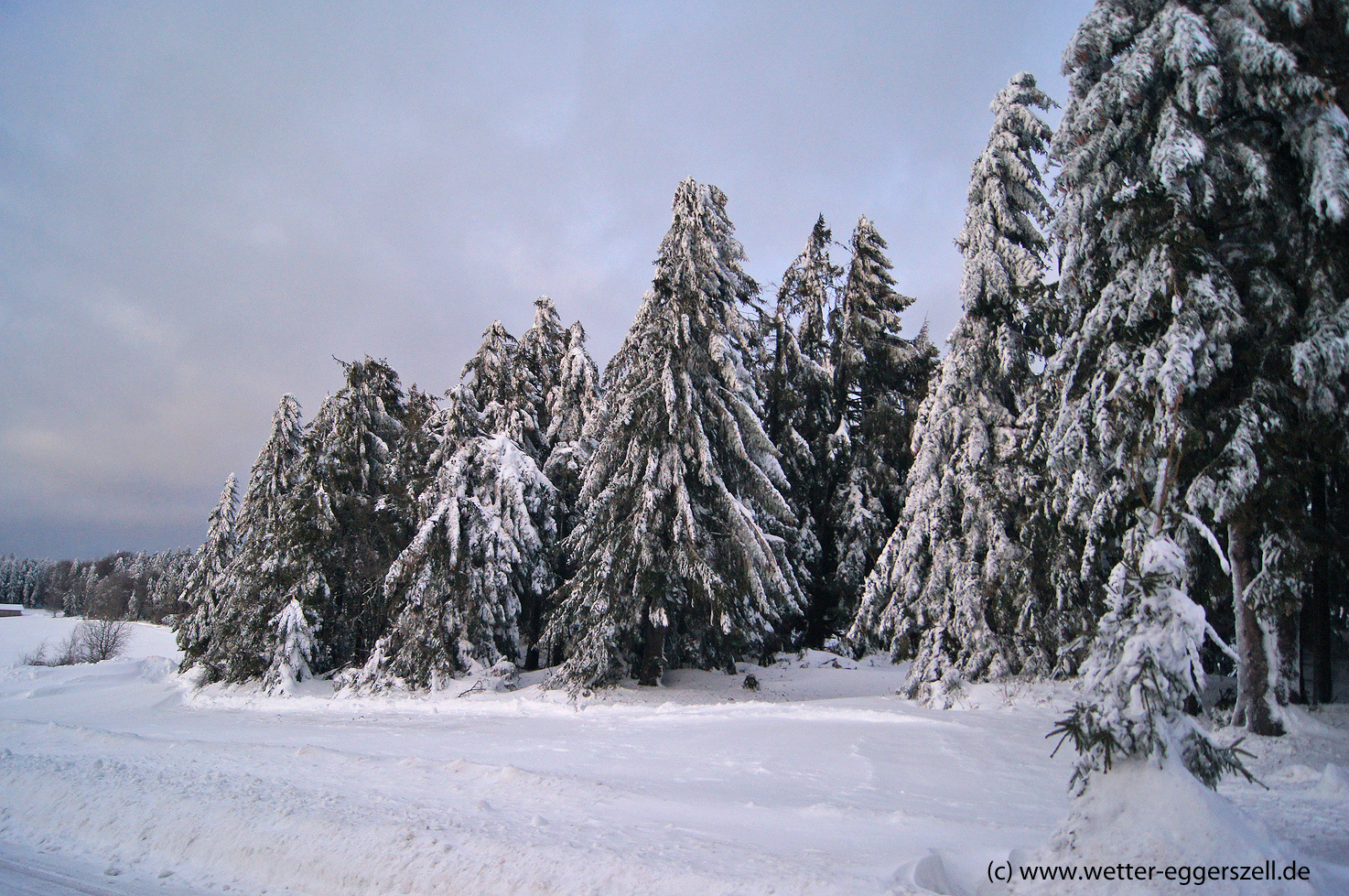 Bergheimat Februar 2019