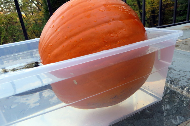 Mom's Tot School Pumpkins + Quiet Bins