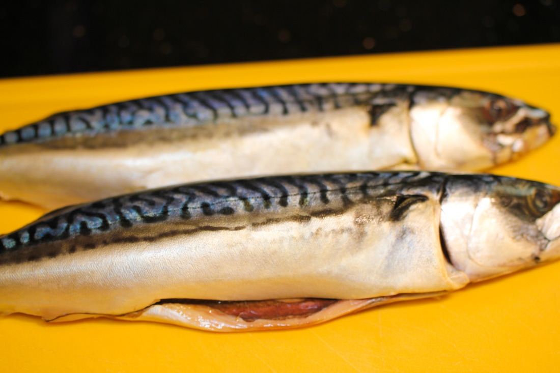 Recipe for picking mackerel Recipe for picking mackerel