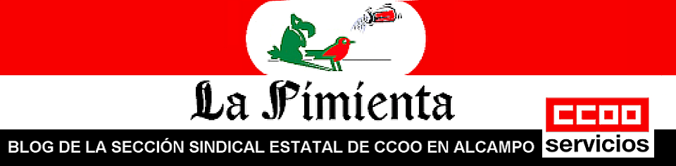 Blog de la sección sindical estatal de CCOO en Alcampo