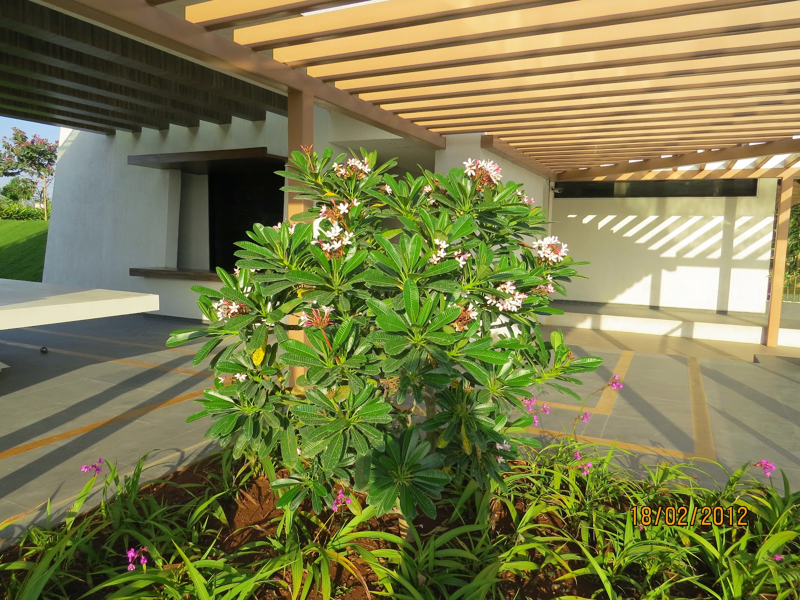 Ravi Karandeekar's Pune Real Estate Market News Blog Visit Little