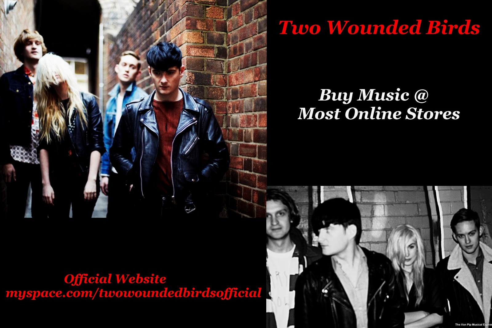 Two Wounded Birds World Music Blog