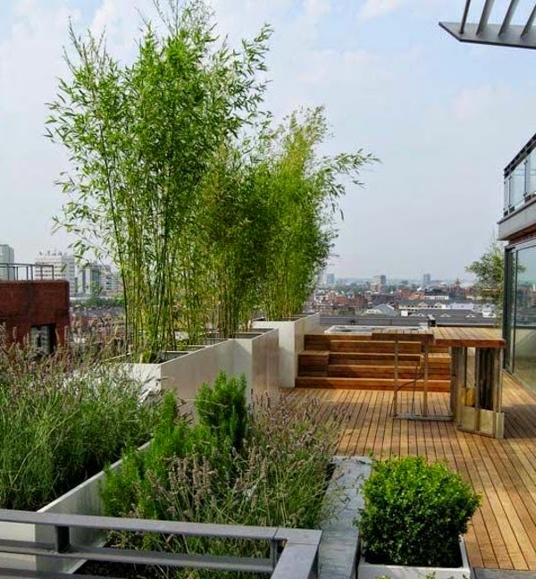 Terrace garden – beautiful design ideas!