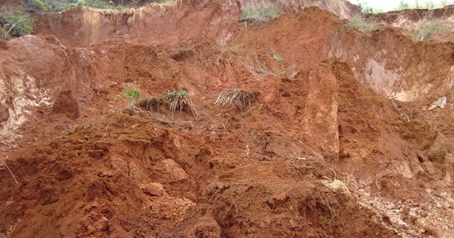 Kawasan Rawan Longsor Amat Mudah Dikenali Berdasarkan Karakteristik