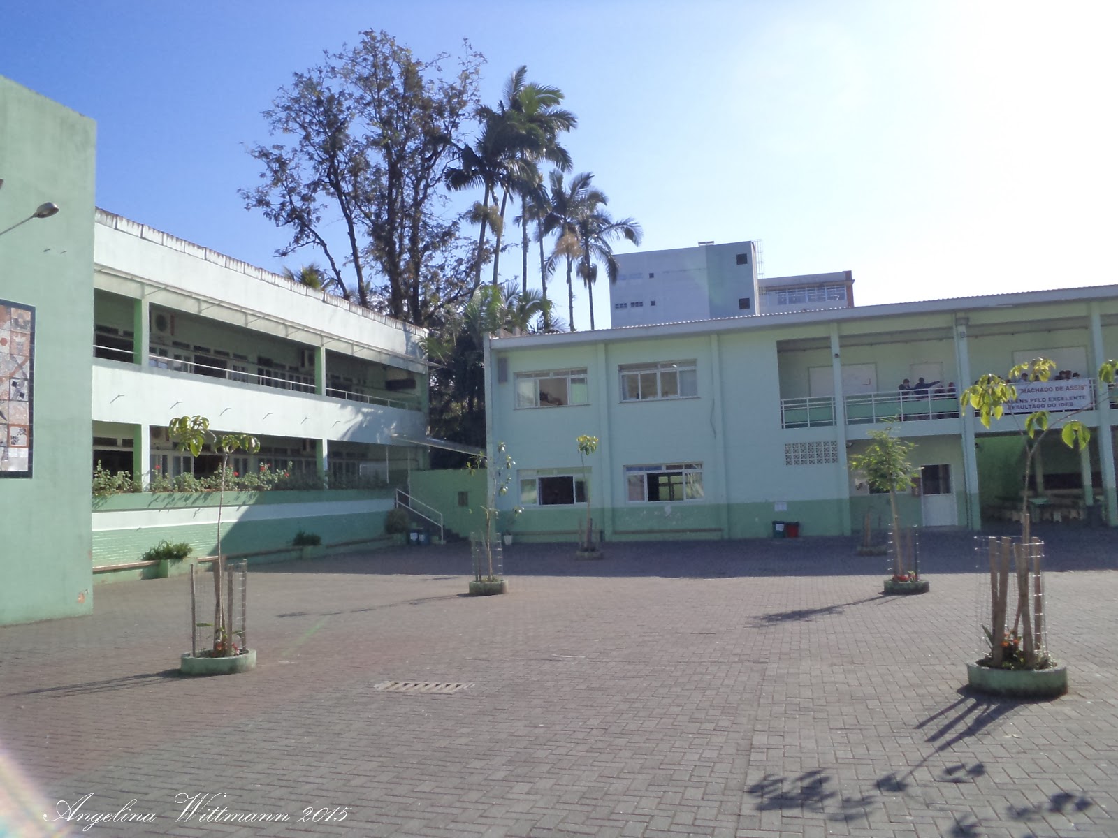 Angelina Wittmann Arte Cultura Historia E Antropologia Historia De Blumenau Imagens Em Video E B Machado De Assis Decada De 1990