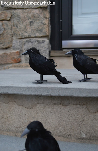 Faux Black Crows on a stoop