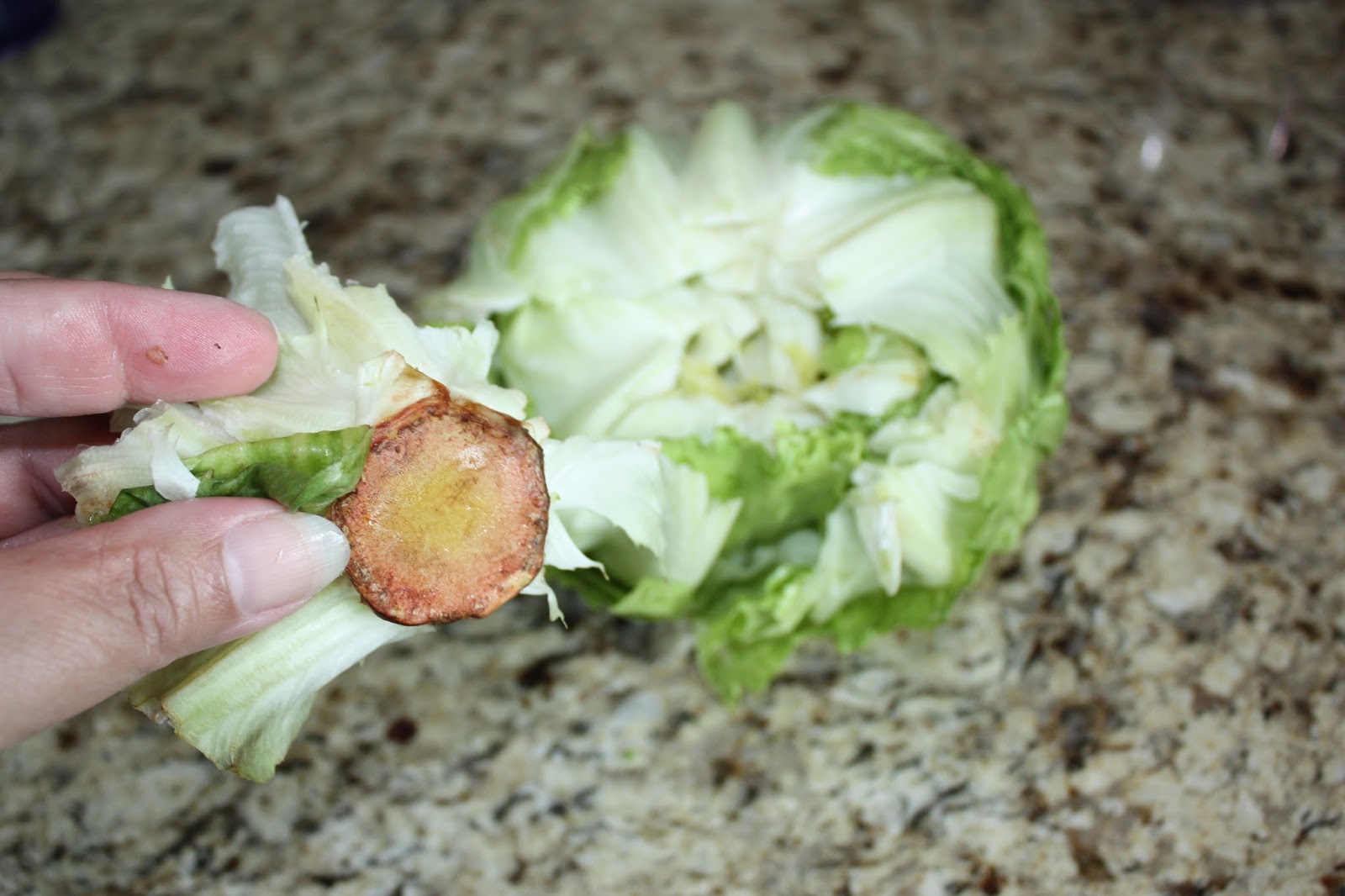 The Righteous Kitchen How To Clean Iceberg Lettuce