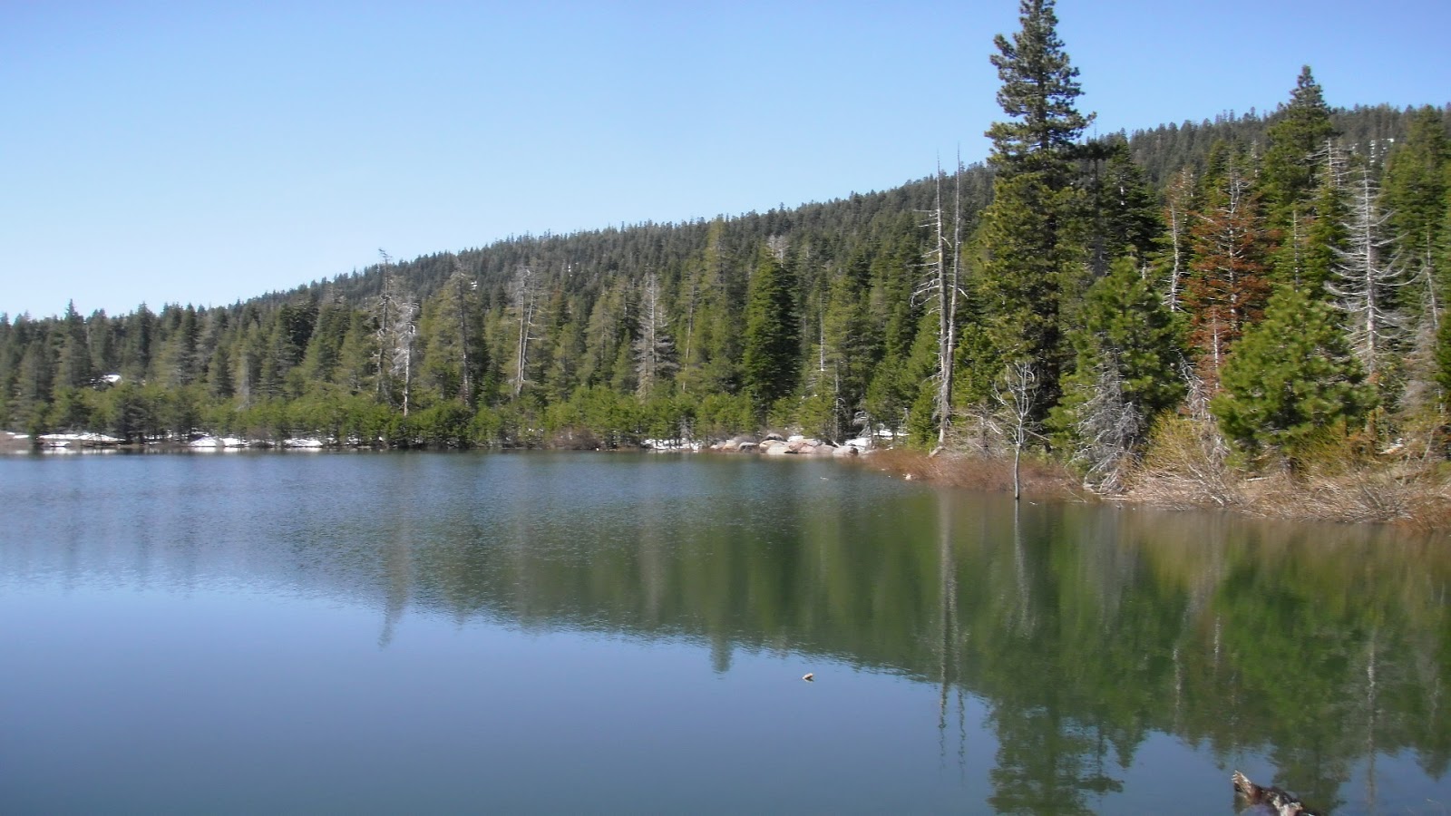 Sawmill Lake Fly Fishing 2015 June 2011