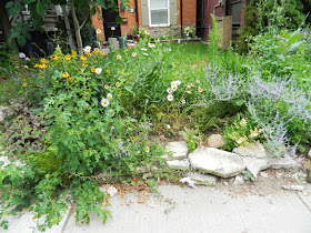 Toronto Riverdale garden cleanup Paul Jung Gardening Services before