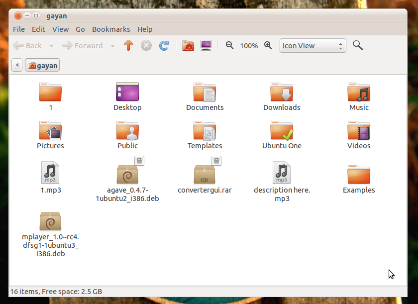 Gnome Nautilus file manager.