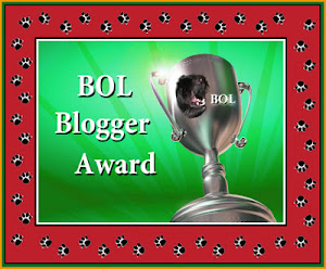 BOL Blogger Award, December 2012
