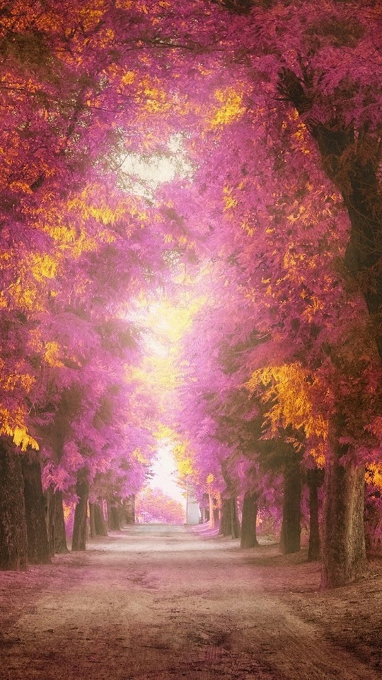 Pink Park Alley  Galaxy Note HD Wallpaper Pink Park Alley  Galaxy Note HD Wallpaper