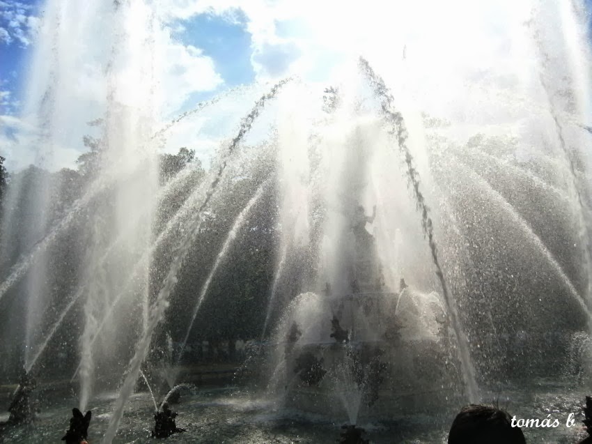 FOTOGRAFIAS: Jardines del Palacio de La Granja, fuente de las ranas