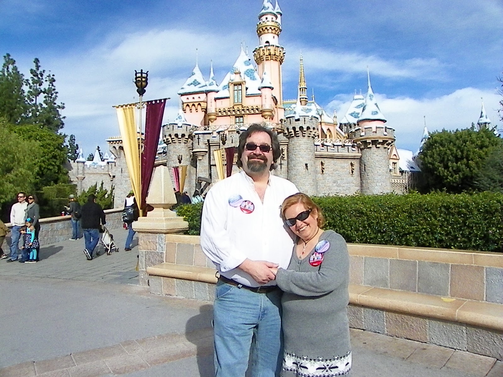 Pixie Pranks and Disney Fun: Disney Parks Castle Picture Taking